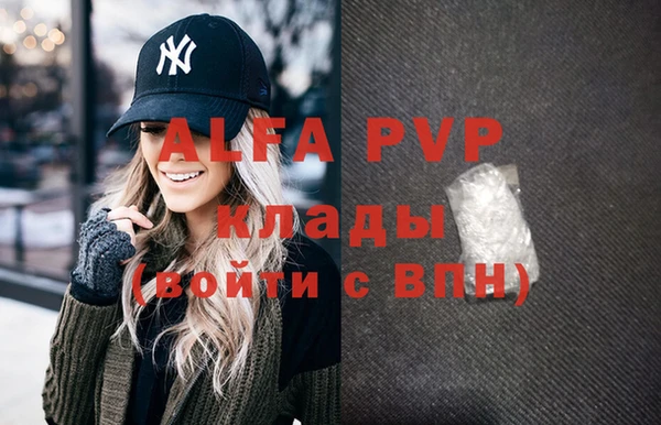 шишки Богородицк