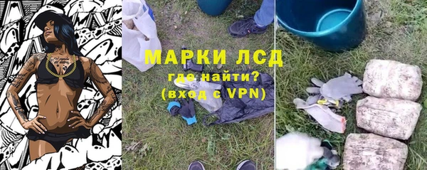 шишки Богородицк