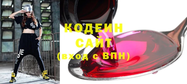 крисы Бронницы