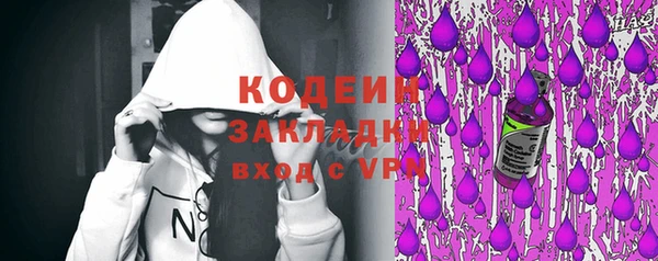крисы Бронницы