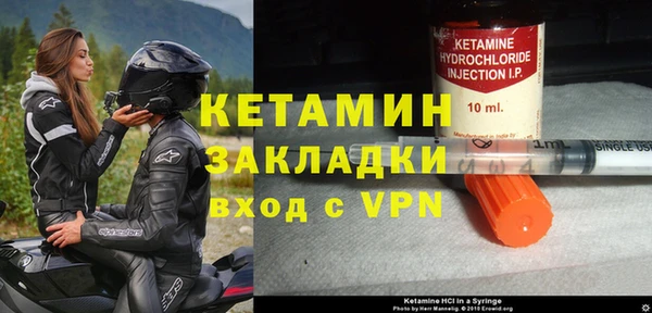 шишки Богородицк