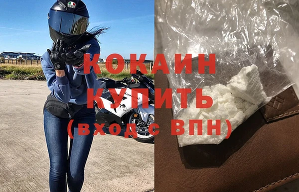 шишки Богородицк