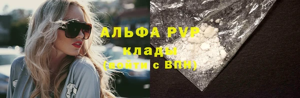 крисы Бронницы