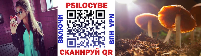 Галлюциногенные грибы ЛСД  хочу   Волгореченск 